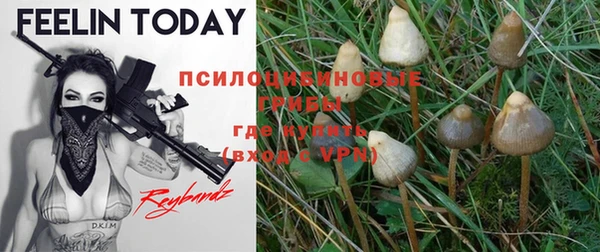a pvp Пролетарск