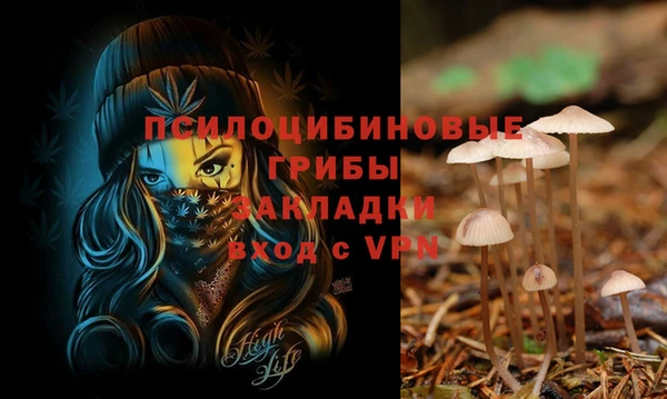 ешки Кострома