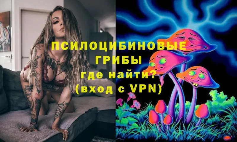 Псилоцибиновые грибы Magic Shrooms  shop как зайти  Камышлов  OMG ТОР 