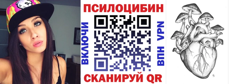 как найти наркотики  Камышлов  это телеграм  Галлюциногенные грибы Psilocybine cubensis 