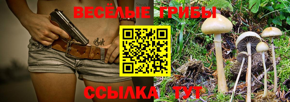 Галлюциногенные грибы Magic Shrooms Камышлов