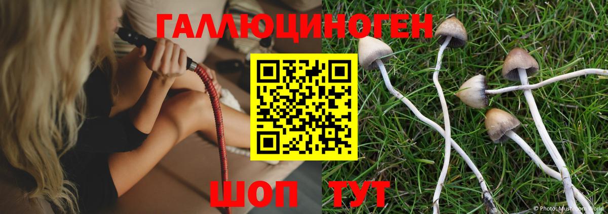 Псилоцибиновые грибы MAGIC MUSHROOMS  Галлюциногенные грибы ЛСД  Вход с VPN  Камышлов 
