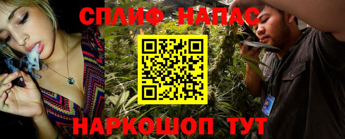 Камышлов  Бошки Шишки SATIVA & INDICA  Вход с VPN  Бошки марихуана White Widow  Конопля ГИДРОПОН 